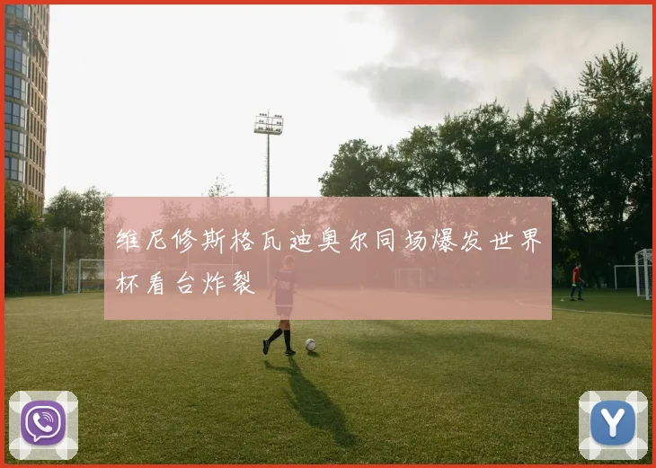维尼修斯格瓦迪奥尔同场爆发世界杯看台炸裂
