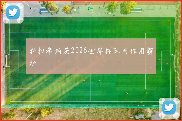 科拉希纳茨2026世界杯队内作用解析