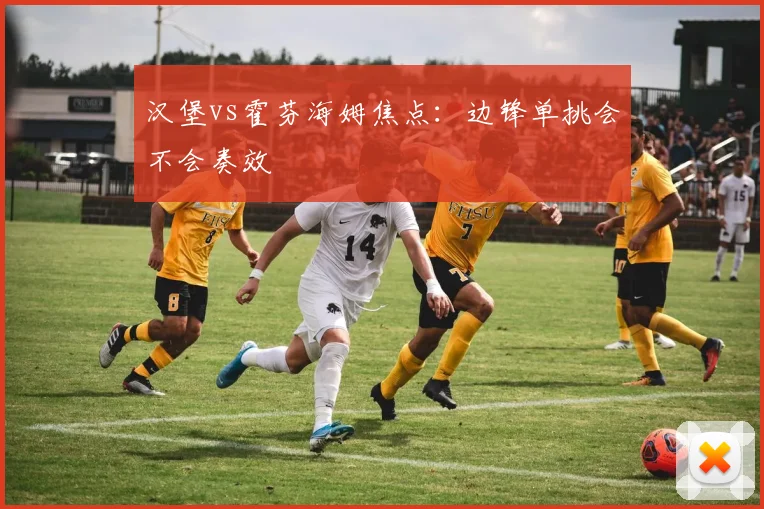 汉堡vs霍芬海姆焦点：边锋单挑会不会奏效
