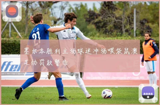 墨尔本胜利主场球迷冲场喂袋鼠澳足协罚款警告